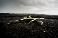 Whalebones near Sólheimasandur