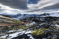 Early Snow