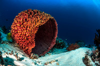 Alor-Komodo, Indonesia (2014)