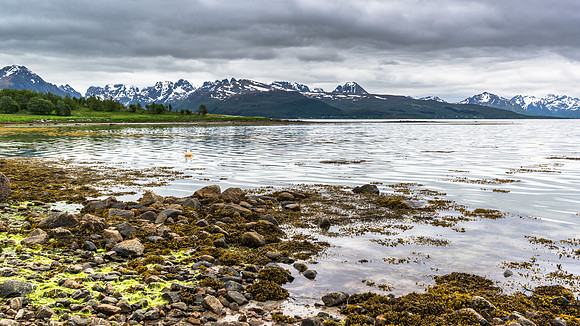 Lofoten, Norway (2015)