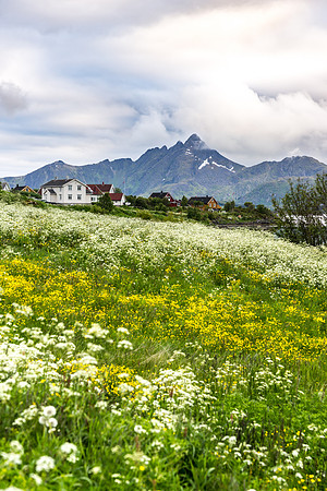 Lofoten, Norway (2015)