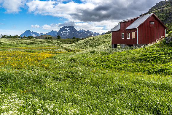 Lofoten, Norway (2015)