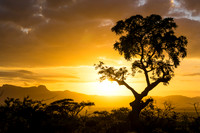 South Africa (2014)