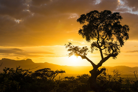 South Africa (2014)
