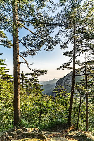 Yellow Mountains, Huangshan, (China 2016)