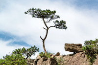 Yellow Mountains, Huangshan, (China 2016)