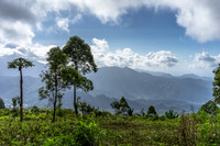 Flores, Indonesia (2014)