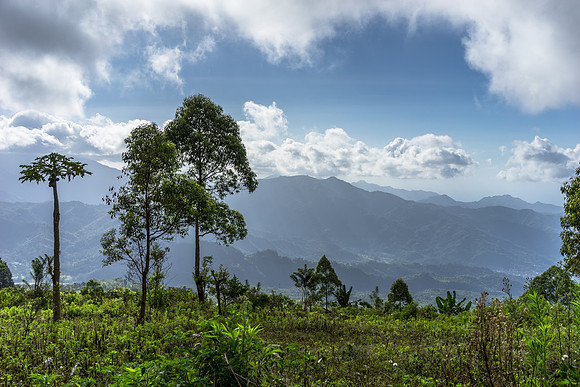 Flores, Indonesia (2014)