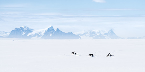 Antarctica (2023)