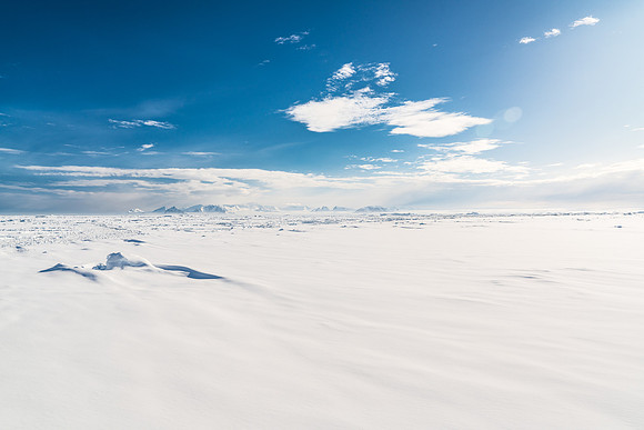 Antarctica (2023)