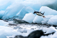 Antarctica (2023)