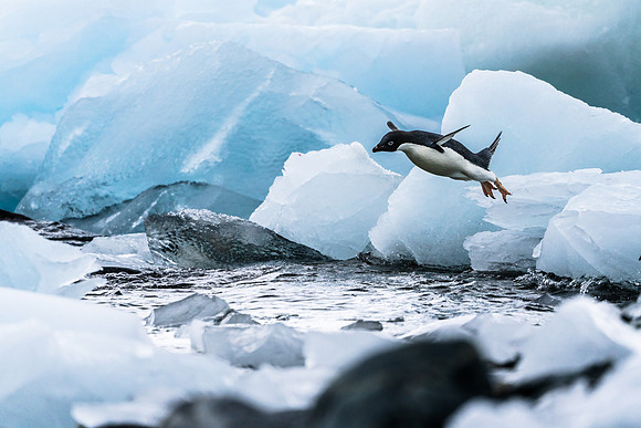 Antarctica (2023)
