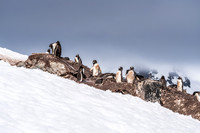 Antarctica (2023)