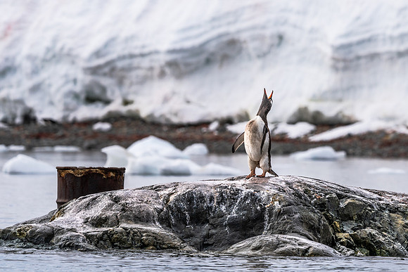 Antarctica (2023)