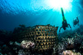 Divers