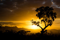Landscapes